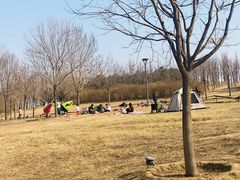 -马家湾湿地公园