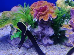 -石家庄极地海洋世界