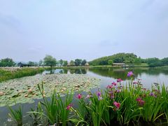 -良渚古城遗址公园