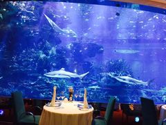 -迪拜帆船酒店海底餐厅