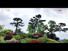 -东莞植物园