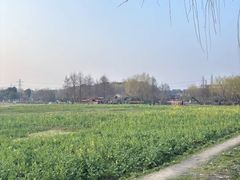 -广富林郊野公园
