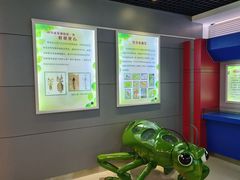 -上海昆虫博物馆