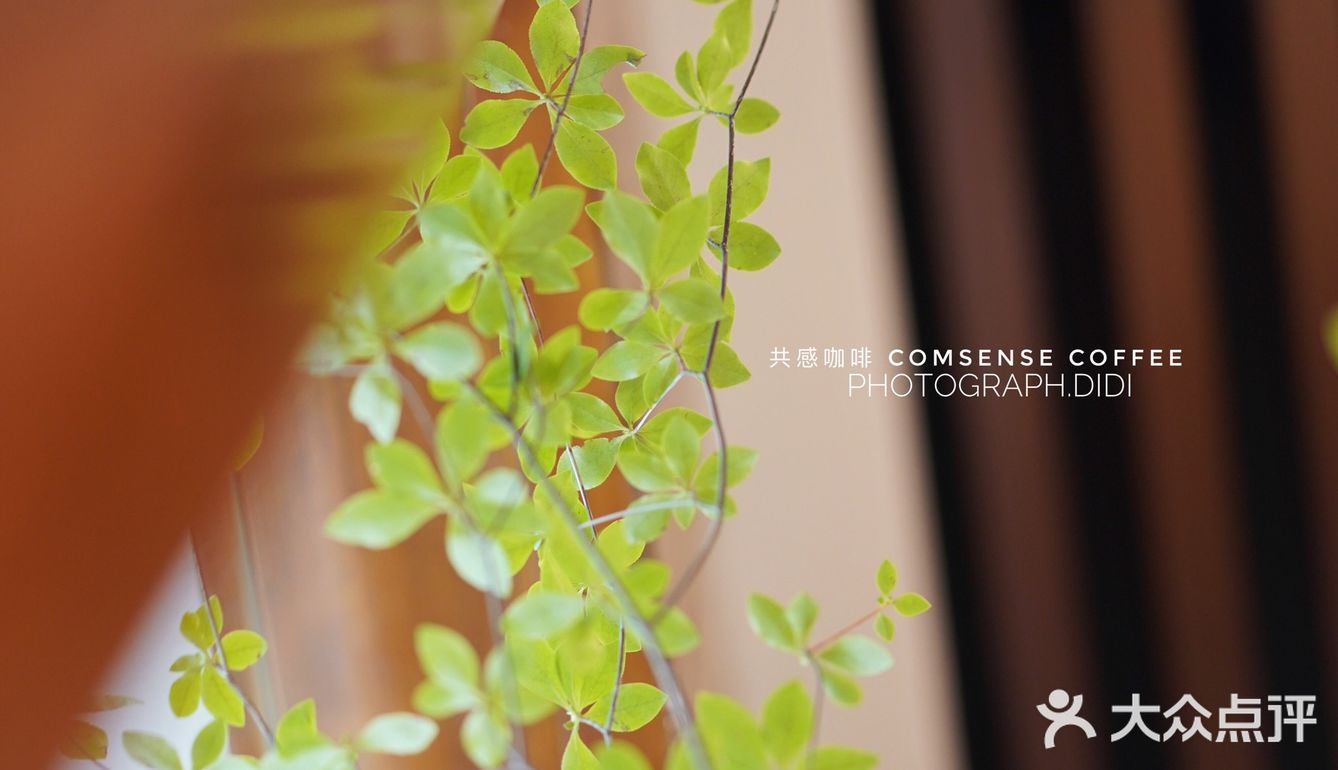 新换的巧克力风味咖啡豆，让我误以为是加入了巧克力🍫