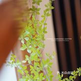 新换的巧克力风味咖啡豆，让我误以为是加入了巧克力🍫