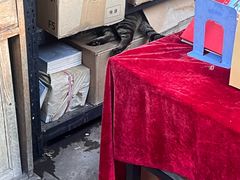 -正阳书局(西四南大街店)