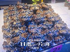 -日进一片海.生腌海鲜火锅.宵夜烧烤(三里屯总店)