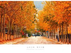 -山东大学(洪家楼校区)