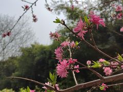 -重庆彩云湖湿地公园