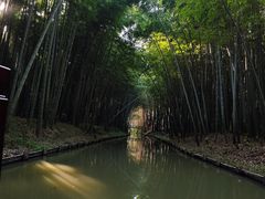 -同里国家湿地公园