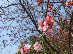 -上海交通大学医学院附属仁济医院(南院)