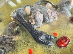 -陈三炖鸡馆(金众小区店)