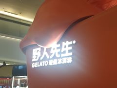 -野人先生现做冰淇淋(北京王府井东方新天地店)