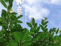 -大蜀山国家森林公园