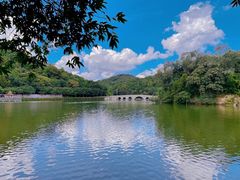 -李小龙乐园(顺德均安店)