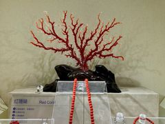 -安徽省地质博物馆