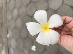 -吐斯廉屠杀博物馆