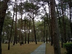 -Club Med地中海俱乐部·桂林度假村