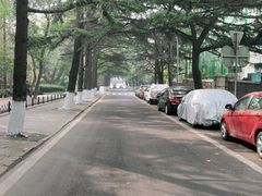 -八大关景区