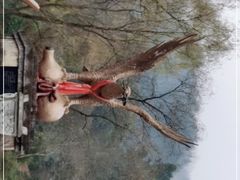 -尧上仡佬族文化村