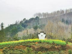 -石潭村