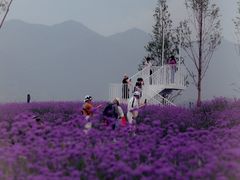 -金海湾滨江公园