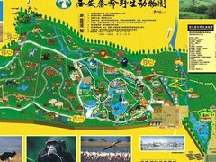 -西安秦岭野生动物园