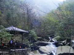 -紫鹊界梯田景区