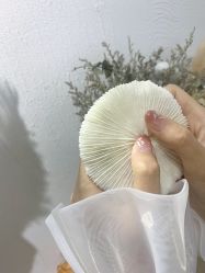 -Blue Nail日式美甲美睫美肤