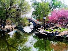 -圆明园遗址公园-藻园门售票处