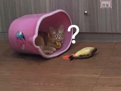 -荔康动物医院(康王北路店)