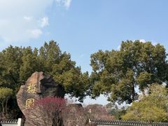 -无锡梅园公园