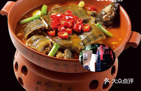 Xiaoxiang Turtle