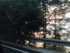 -千岛湖石林