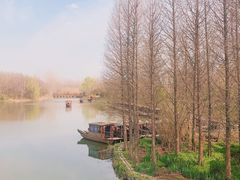 -溱湖国家湿地公园