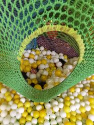 点击看大图 -宝燕乐园(闵行旗舰店)