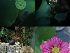 -烈士陵园(地铁站)