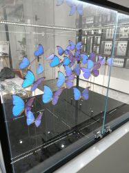 -酷嗒动物文化乐园(cutezoo西溪乐天城店)