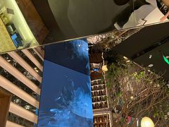 -桂满陇·海市蜃楼·黑金(国金店)