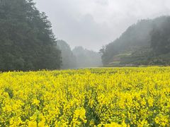 -新安江山水画廊风景区