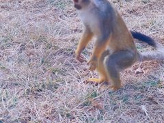 -济南野生动物世界