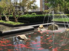 -北京希尔顿逸林酒店