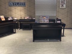 -知音艺术教育培训·钢琴培训·音乐培训(河西金鹰世界校区)