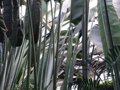 -龙达温泉生态城