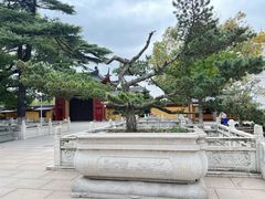 -上海东林寺(金山区)