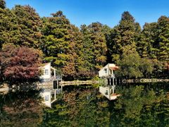 -上海共青森林公园