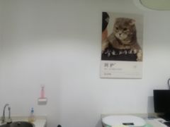 -艾贝尔宠物医院·24H转诊中心·肿瘤猫专科(江宁双龙店)