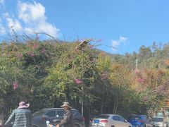 -抚仙湖禄充风景区