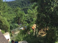 -千岛湖天屿景区