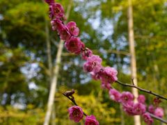 -苏州上方山国家森林公园